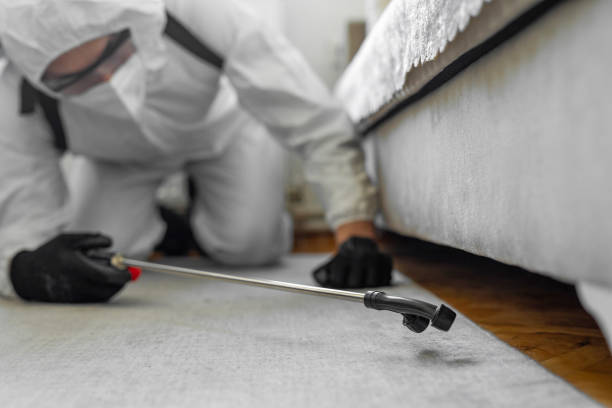 Professional Bed Bug Control technician working in Flordell Hills, MO